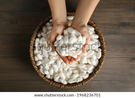 Woman holding white silk cocoons over bowl on wooden table, top view Royalty-Free Stock Photo #1968236701