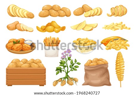 Potato products icons set. Chips, pancakes, french fries, whole root potatoes in cartoon realistic style. Vector illustration of harvest vegetables. Royalty-Free Stock Photo #1968240727
