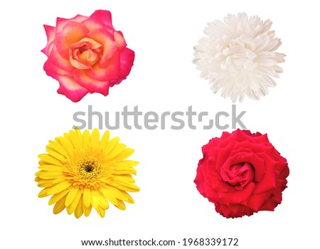 Made design composition with floral collection set isolated on white background, stock photo, flat lay, top veiw, summer plant, flowers