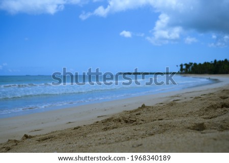 Photo of a sandy beach in the foreground from the Dominican Republic. The picture clearly shows the magnificent sand from the Atlantic Ocean and the bright blue sky, forming a horizon line.