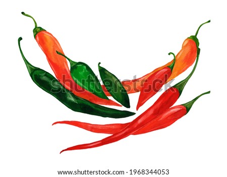 Hot peppers. Hand drawn watercolor painting. Illustration  on white background
