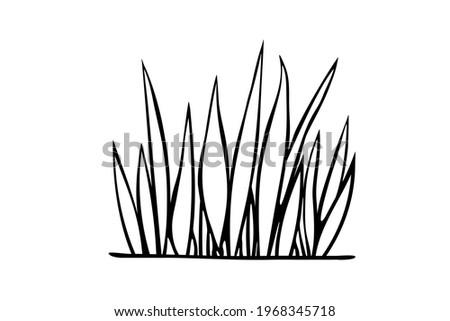 A bunch of grass. Hand drawn simple black outline vector illustration in doodle style, isolated on white background. Natural design element, clip art for decoration on nature theme, coloring page