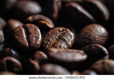 Coffee bean in closeup. Fresh roasted beans for espresso drink. Dark roast arabica for cafe background