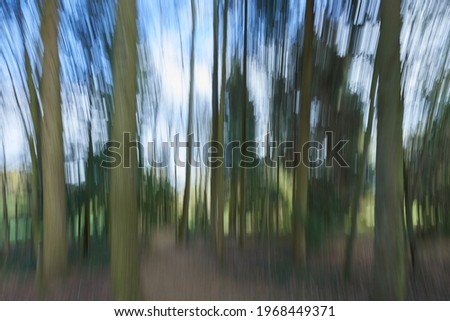 Movement blurred tree trunks in the forest. Brown forest floor, blue sky. Cold colors.