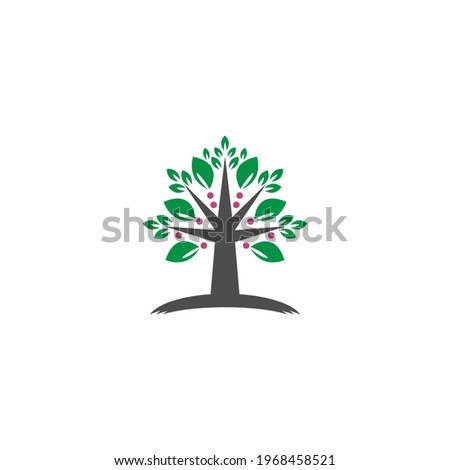 Tree icon  Tree branch design vector illustration template