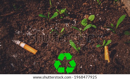 Closeup top view of cigarettes on the grown grass with soft focus. Concept of earth pollution and problem of waste. Stop smoking and no tobacco day. Recycling logo symbol. Flatly, banner. Royalty-Free Stock Photo #1968477925