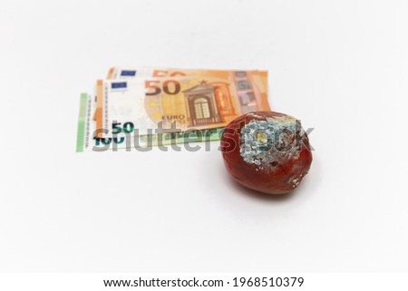 Rotten tomato with mold. Old vegetables and 50 and 100 euro bills