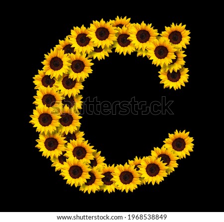 Capital letter C made of yellow sunflowers flowers isolated on black background. Design element for love concepts designs. Ideal for mothers day and spring themes