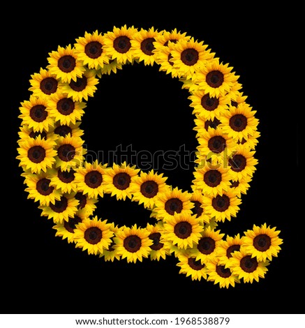 Capital letter Q made of yellow sunflowers flowers isolated on black background. Design element for love concepts designs. Ideal for mothers day and spring themes