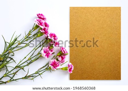 Pink carnation flower with paper on white background. copy space
