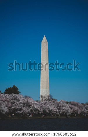 The Washington monument in Washington DC