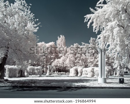Trees and flowerbeds on territory of complex VDNKh. Infra-red photo