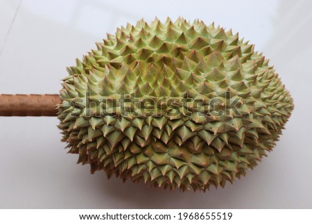 Raw Thai durian with spiny bark or sharped thorns placed on a white background.
