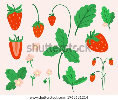 Strawberry set. Hand drawn fresh forest or garden berry collection. Whole juicy berries, bush with green leaves and flowers doodle summer element. Vector cartoon minimalistic isolated illustration Royalty-Free Stock Photo #1968681214