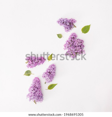 Arranged lilac with green leaves on white paper.