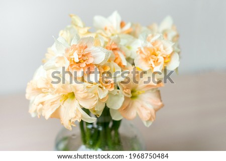 Bouquet of beautiful Daffodils in glass vase. Copy space. International Women's Day celebration. White wall background. Scandinavian interior.	