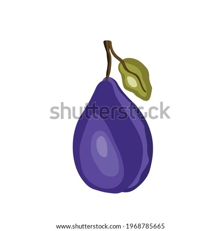 Plum icon isolated on white background. Natural delicious fresh ripe tasty fruit. Template vector illustration for packaging, banner, card and other design. Stylized plums with leaves. Food concept.