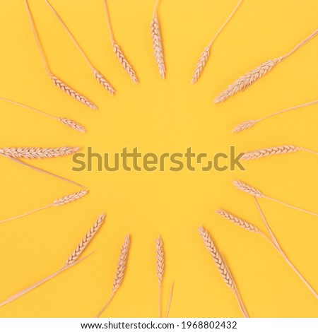 Wreath made of wheat spikelets on a yellow background. Floral frame with place for your design.