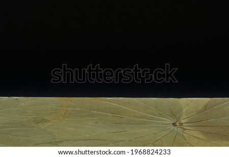 photography of plant texture with black background,