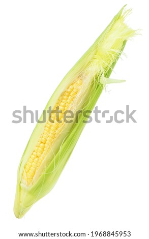 Raw corn isolated on white background

