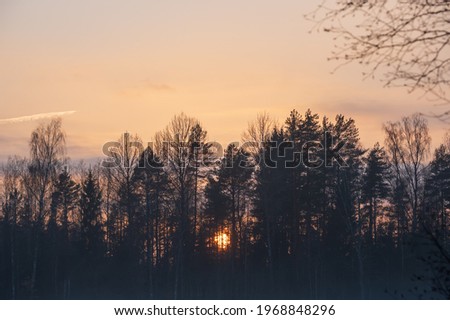 Sunset in the orange sky behind the silhouette of forest