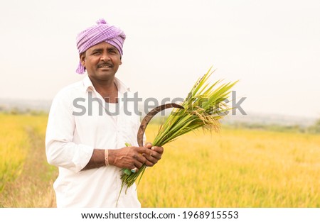 Happy Indian farmer Holding sickle and Paddy crop in hand - Concept good crop yields due to monsoon rains. Royalty-Free Stock Photo #1968915553