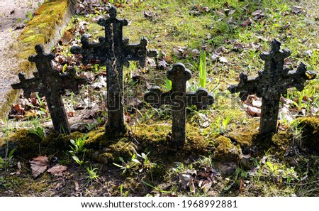 iron crosses in the old cemetery