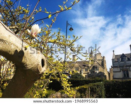 The spring in Oxford city	