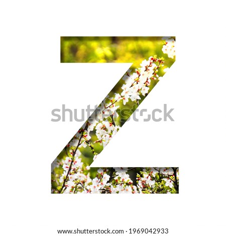 Spring sunny font. The letter Z cut out of paper on the background of blooming cherry on a sunny spring day. Set of decorative natural fonts.