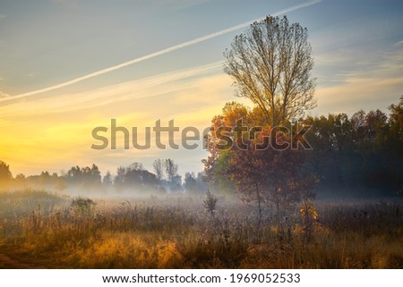 Autumn golden sunrise. Forest recreation area. Autumn in Russia. Sunny day.