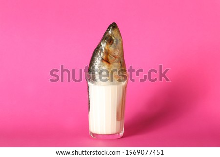 fish in a glass with milk on a bright background Royalty-Free Stock Photo #1969077451