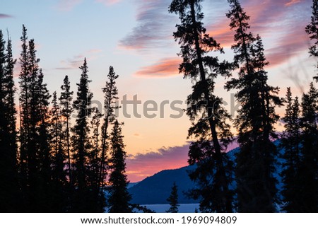 Stunning pink pastel sunset sunrise over the Canadian wilderness. Purple colors seen in the bright, cloudy sky. Spruce, boreal forest seen in frame as silouhette.  Royalty-Free Stock Photo #1969094809