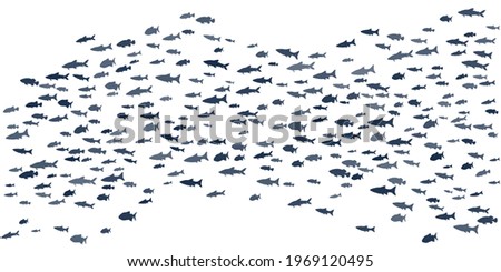 Big school of fish swimming vector illustration. Ocean or sea animals background. Shoal of fishes isolated on white. Marine underwater animals summer design.
