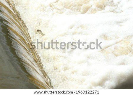 Waterfall with water and foam in the middle of the park.