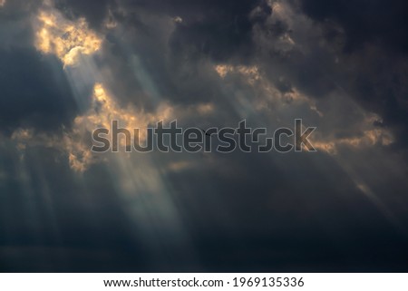 Dramatic storm clouds with rays of light passing through and lonely sea gull flying. Moment just before heavy storm.