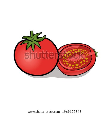 Tomato slice isolated on white background.Tomato organic vector illustration of healthy vegetable.