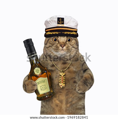 A beige cat captain in a sailor hat with a bottle of rum. White background. Isolated.
