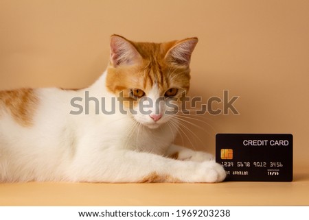 A cute orange cat is showing off his credit card. Online payments. Point accumulation. Economical and convenient trading. On the yellow-orange background