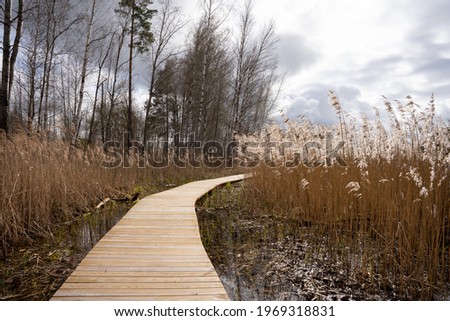 There are wooden footbridges along the lake where trees grow along the edges and there is a beautiful sky