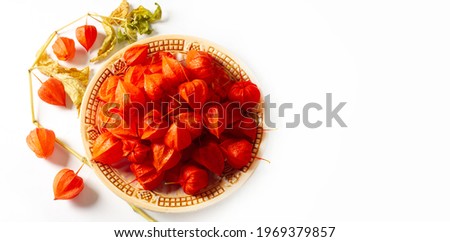 Physalis common bladder cherry, Chinese lantern, Japanese lantern, Groundcherry strawberry, Japan, its bright and lantern-like fruit cups make up a traditional part of the Bon festival