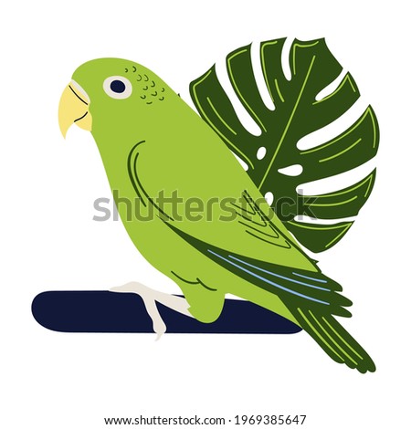Vector cartoon tropical illustration with amazon parrot and plant or monstera leaf.