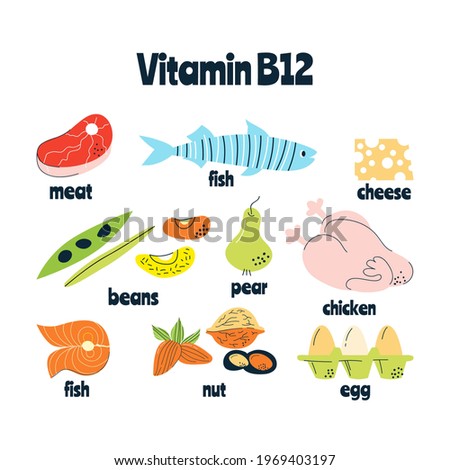 Vitamin B12 main food sources: eggs, milk, fish. Vector illustration in a hand-drawn style. Perfect for pharmacological or medical poster, flyer, banner.