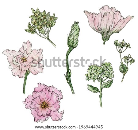 Watercolor composition with elements of pastel pink flowers (lisianthus), green leaves, buds drawn by hand in a sketch way with liner on a white background for wedding, birthday cards, desing.