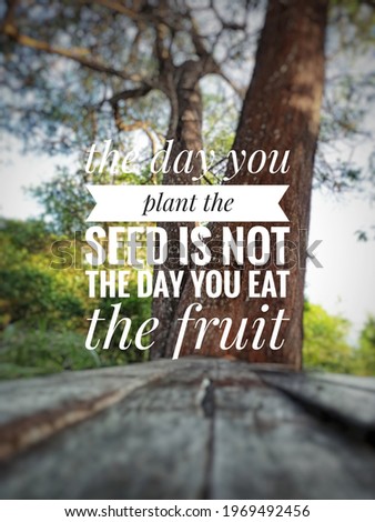 Blurry tree background with quotes - The day you plant the seed is not the day you eat the fruit