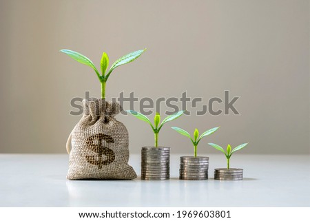 Trees are growing from money bags and trees growing on a pile of money, financial ideas and economic conditions.