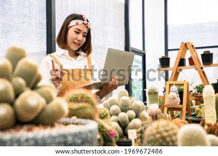 Asian farmer using laptop to check young Mammillaria bocasana cactus in hands gently on house background. Decorative plants can be used to decorate the living room and living room or on the desk.