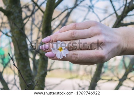 Hand holding a beautiful flower. The flower is clamped between the fingers
