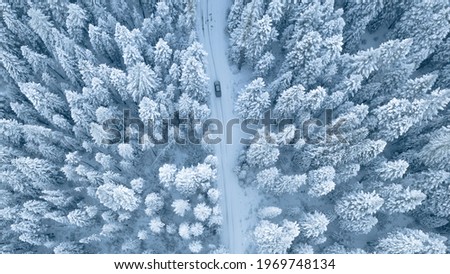 Aerial Photography of Pine Trees Covered With Snow