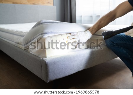 Bed Bug Infestation And Treatment Service. Bugs Extermination Royalty-Free Stock Photo #1969865578