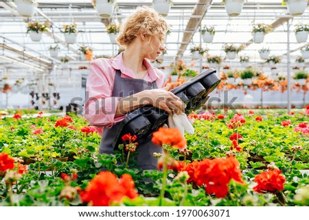 Positive lovely industrial greenhouse woman worker in uniform carry empty pallets for flowers. Smiling and happy female gardener with flowers she growing.